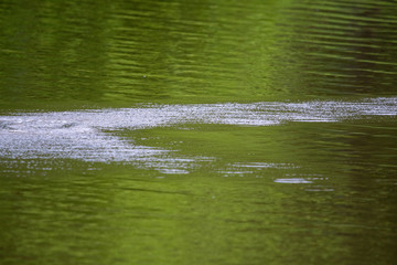 Gulf Coast River Water Splash