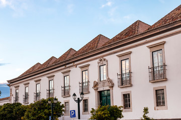 Fototapeta na wymiar typical portuguese rooftops