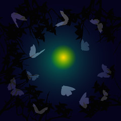 swift butterflies in the night sky, silhouettes of trees