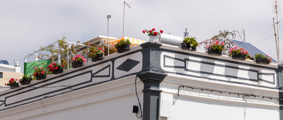 typical buildings of the portuguese cities