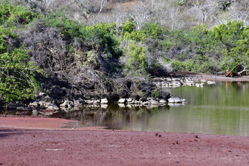 PAISAJE, GALÁPAGOS