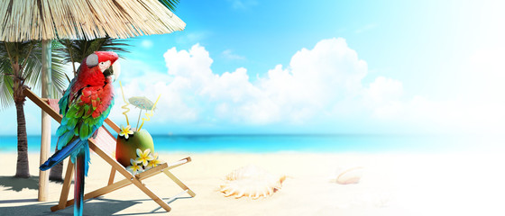 Papagei im Urlaub am Strand © Thaut Images