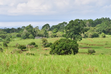 PAISAJE ISLA SANTA CRUZ, GALÁPAGOS