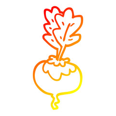 warm gradient line drawing cartoon beetroot