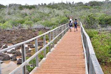 LAS GRIETAS, GALÁPAGOS