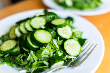 Home or restaurant with table and green salad dish closeup with Japanese cucumbers and mizuna greens