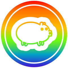 fat pig circular in rainbow spectrum