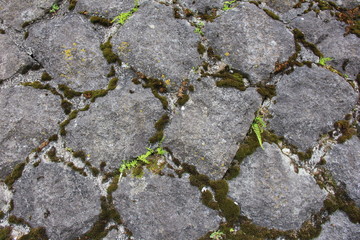 Obraz premium やや年数の経った石垣(岐阜県)