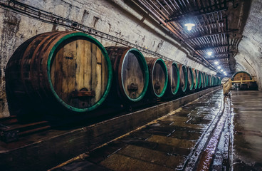 Old wooden barrels in cellars of Pilsner Urquell Brewery, Czech Republic