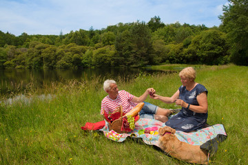 Elderly couple picnic outdoor