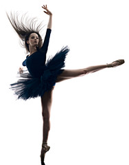 one young beautiful long hair caucasian woman ballerina ballet dancer dancing studio shot...