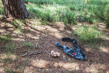 Old dirty female jeans in the woods with teddy bear on the ground