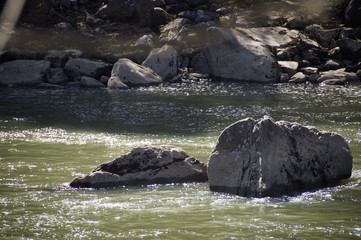 Fototapeta premium rocks in the water