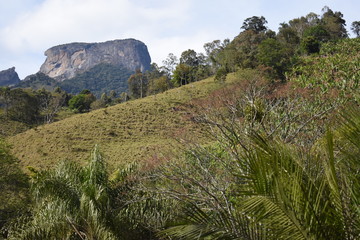 Montanha na floresta
