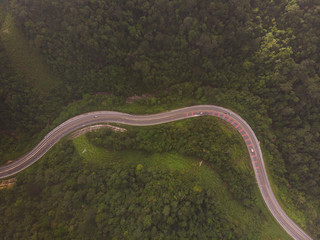 curve road and forest aerial view