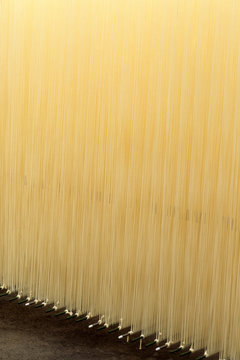 日本の伝統食品、素麺、箸かけ作業