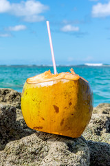 Coconut at the Coral rocks near the sea at Porto de Galinhas Beach, Ipojuca, Pernambuco, Brazil