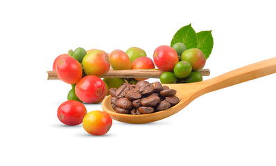 coffee bean on white background