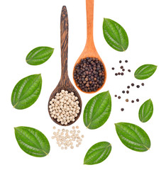 Pepper  seeds on white background