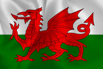 ウェールズ　 国旗　グランド　背景