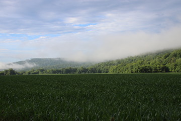 Hills of Tennessee 2019