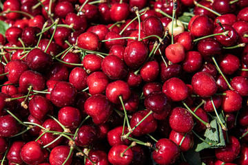fresh cherries with stems