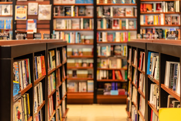 various books on shelves at a big book store