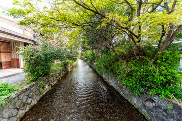 Kyoto residential peaceful neighborhood in spring with Takase river canal in April in Japan on sunny day with green trees