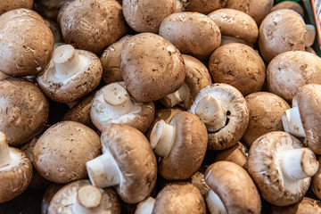 Button Mushrooms