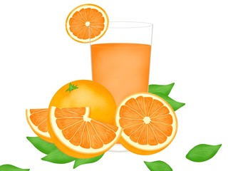 Hand drawn of fresh orange with orange juice in glasses isolated on white background, Creative minimalistic food concept, set, Space for your text