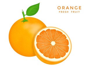 Hand drawn of fresh orange isolated on white background, Creative minimalistic food concept, set, Space for your text