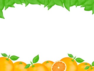 Hand drawn of fresh orange and leaves frame background, Creative minimalistic food concept, pattern as a background, Space for your text