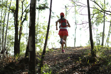 Naklejka na ściany i meble Young fitness woman ultramarathon trail runner running in summer forest