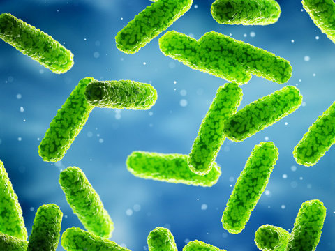 3d Rendered Illustration Of Some Generic Rod Shaped Bacteria