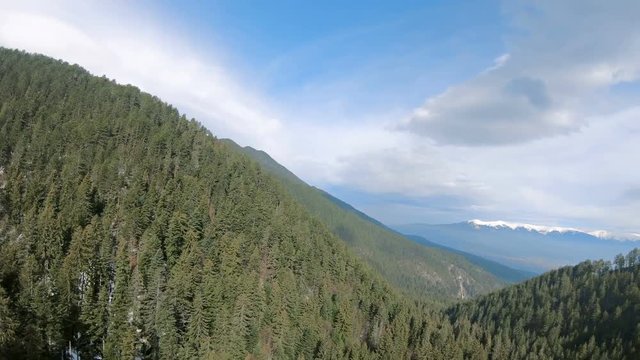 Low flying aerial shot in the Piring National forest park in Bulgaria just above and along the treetops. Lush green trees and blue sky during Summer