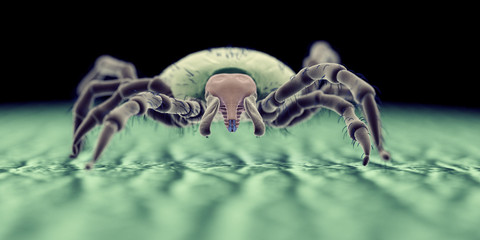 3d rendered illustration of a tick on human skin, sem style