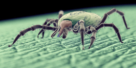 3d rendered illustration of a tick on human skin, sem style