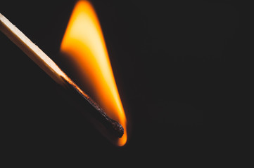 Burning wooden match close-up, on a black background. Isolate Macro shooting.