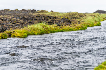 Iceland valley river stream on southern coast with summer plants landscape in Dyralaekjasker