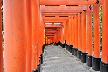 千本鳥居　伏見稲荷大社　京都
