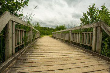 Fototapeta premium walkway to the lake