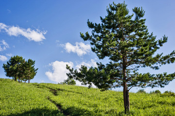 landscape in the mountains