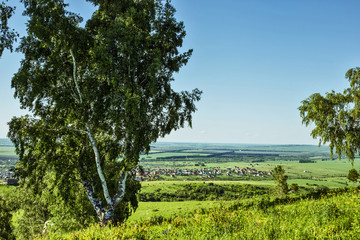 landscape in the mountains