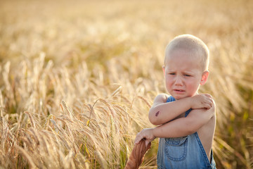 boy crying in a wheat field