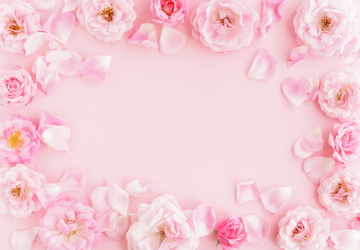 Flowers composition pastel colors. background from  beautiful pale pink roses frame, border on pink  background.Top view.Copy space