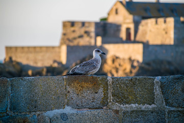 Coucher de soleil  sur Saint-Malo.