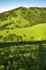 landscape in the mountains