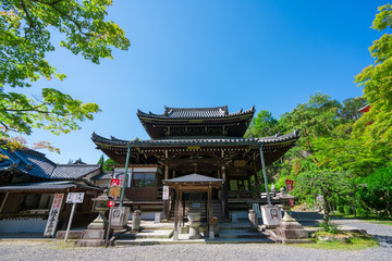 Fototapeta na wymiar 京都　今熊野観音寺（いまくまのかんのんじ）の本堂　新緑