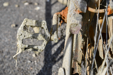 Old bicycle parked on coastline.