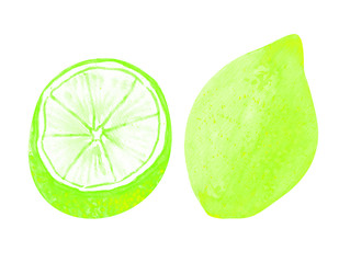 Set of citrus, watercolor green limes, isolated on white, whole and cut.